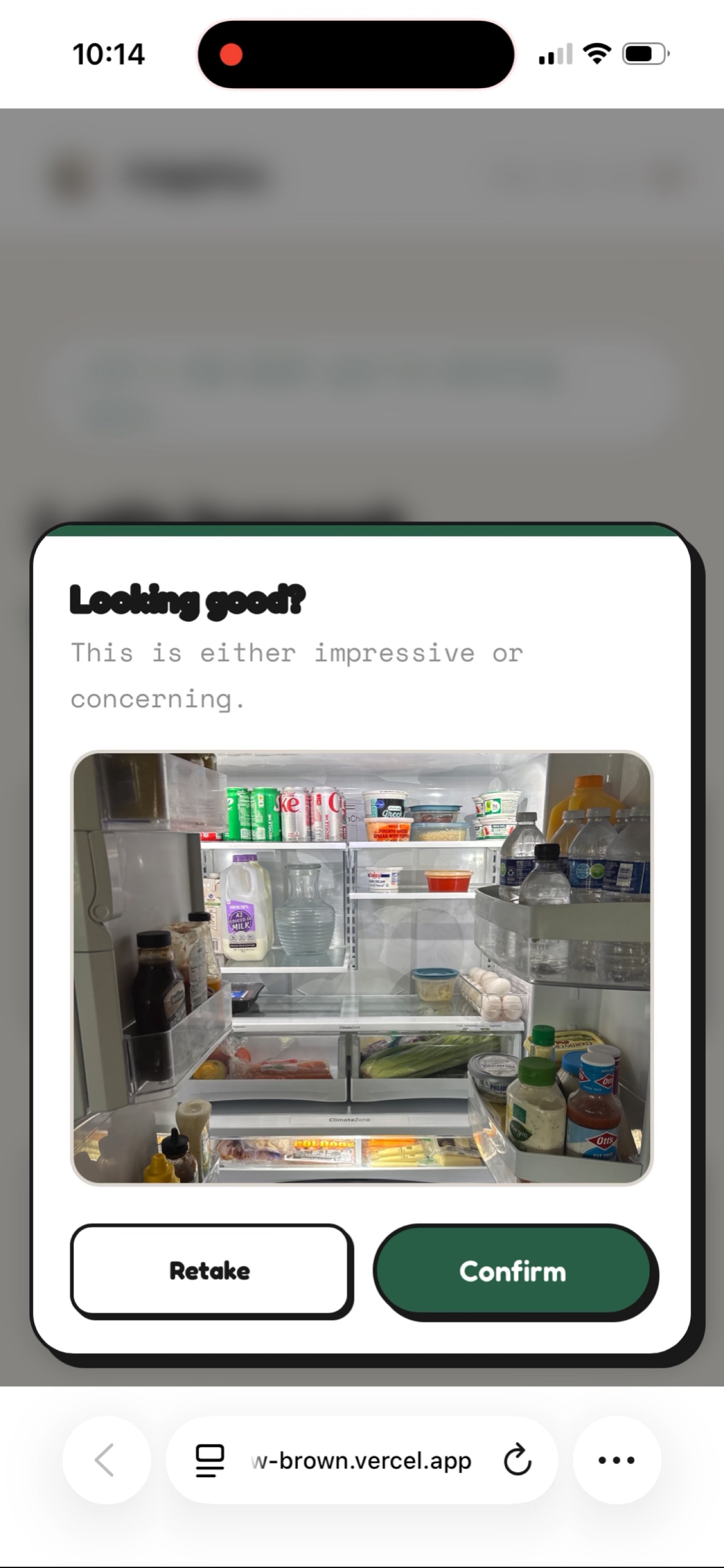 FridgeFlow AI scan result